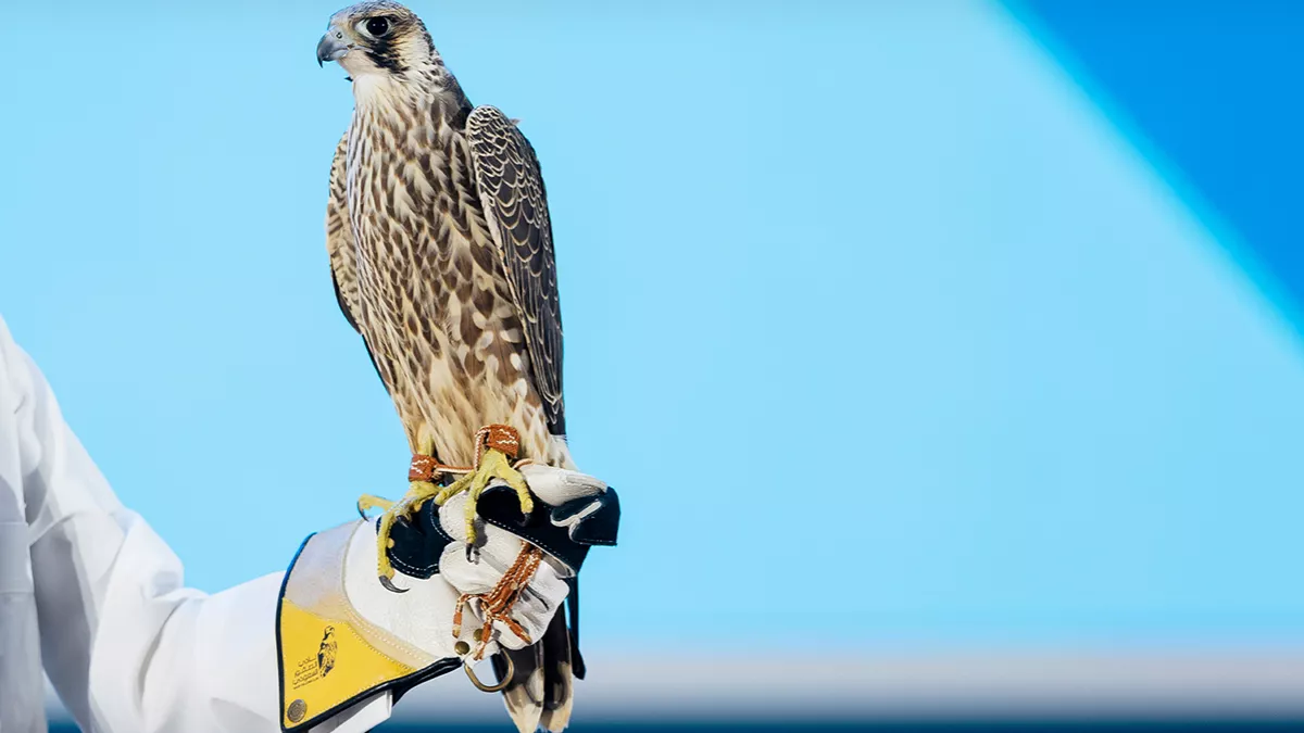 Sales at the fourth Saudi Falcons Club auction exceeded SR2 million after two birds were sold for SR192,000