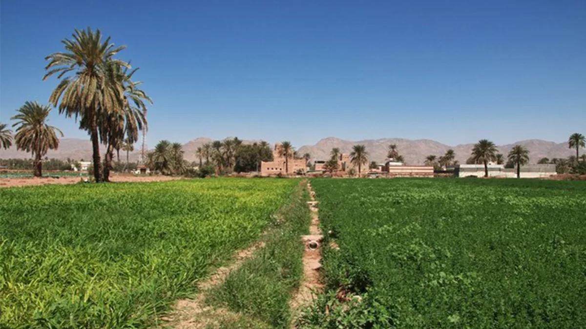 Najran Region Municipality has prepared a number of its parks to receive walkers and visitors during the cooler months