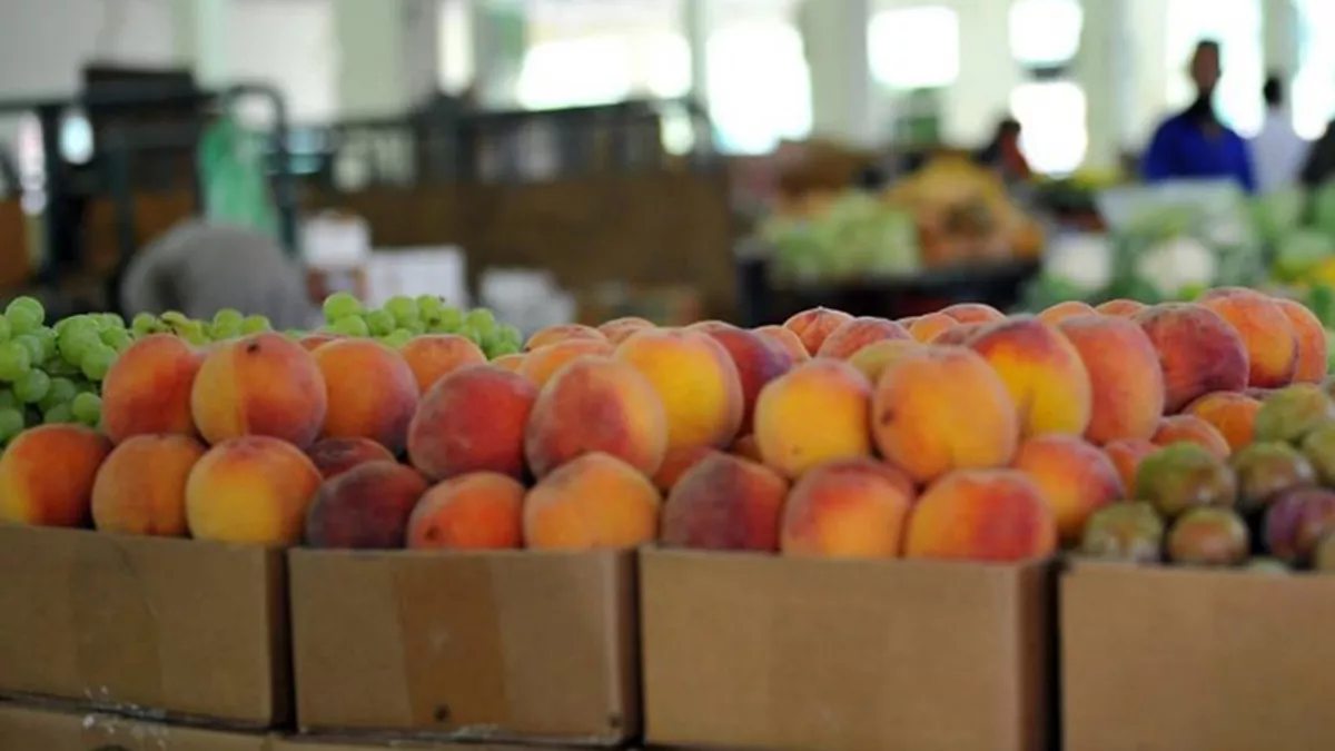 Taif Summer Fruits Festival inaugurated in Al-Ruddaf Park