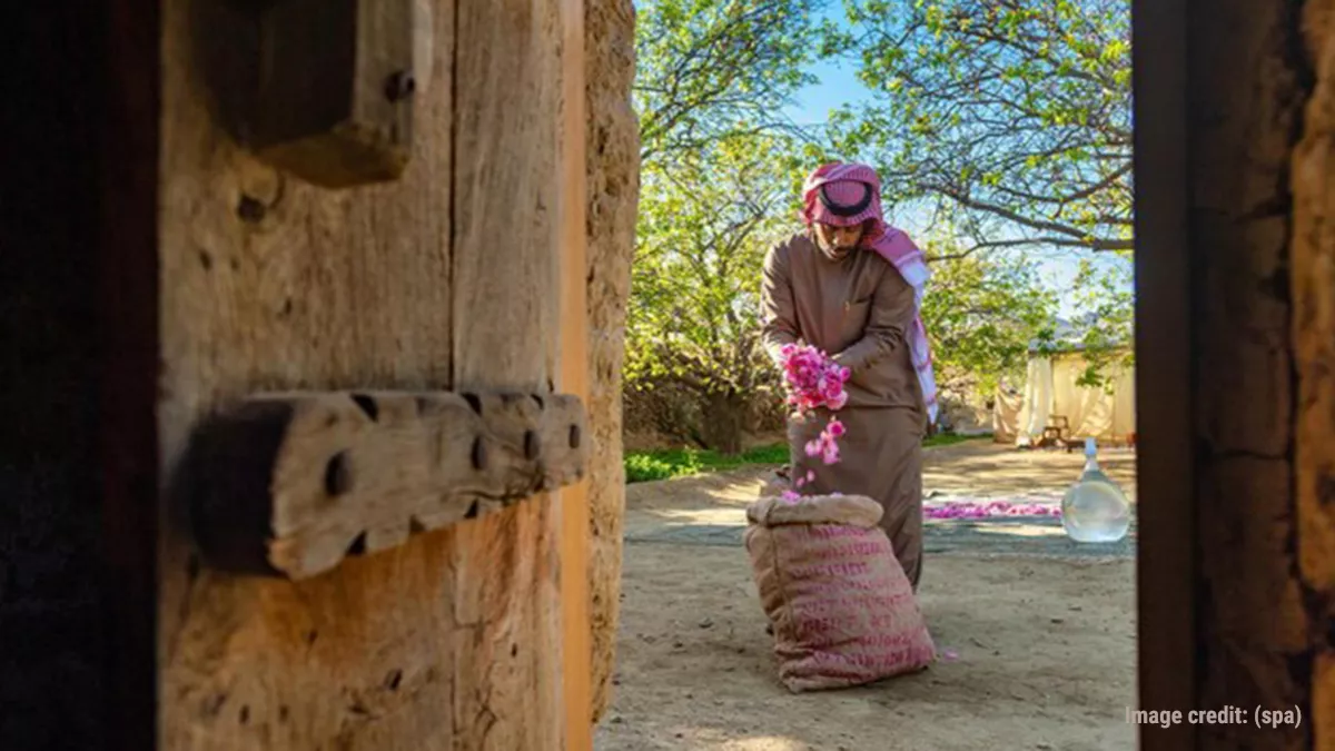 Taif roses and henna secures a place on UNESCO’s Intangible Cultural Heritage list