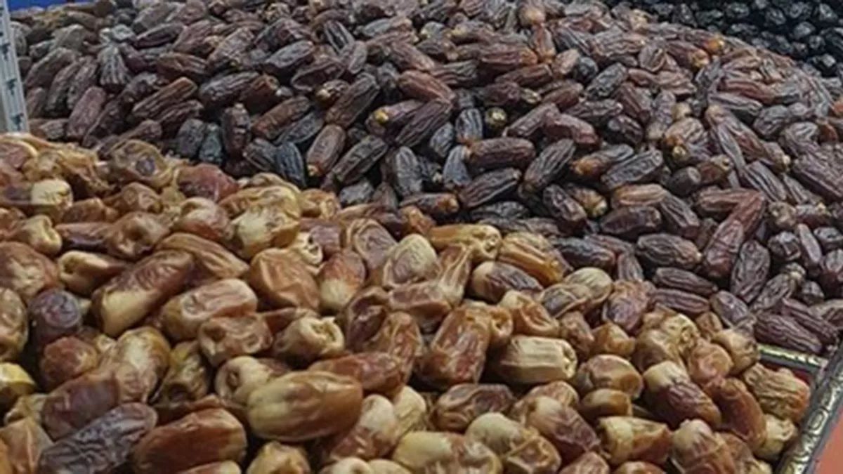 Harvesting of date palms begins in the first quarter of June every year 