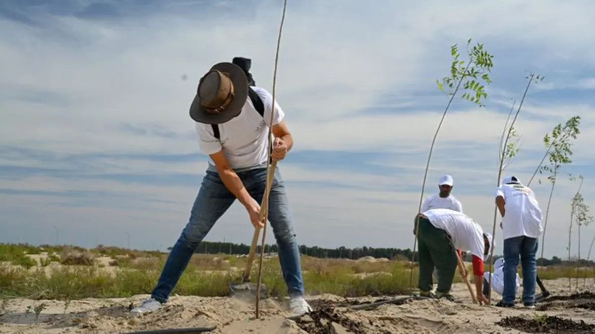 Saudi authorities are preparing for inaugural National Afforestation Forum in Riyadh set to be held on May 6