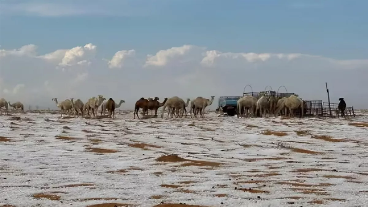 Some parts of Saudi Arabia witnessed heavy rain and snowfall for the first time in history