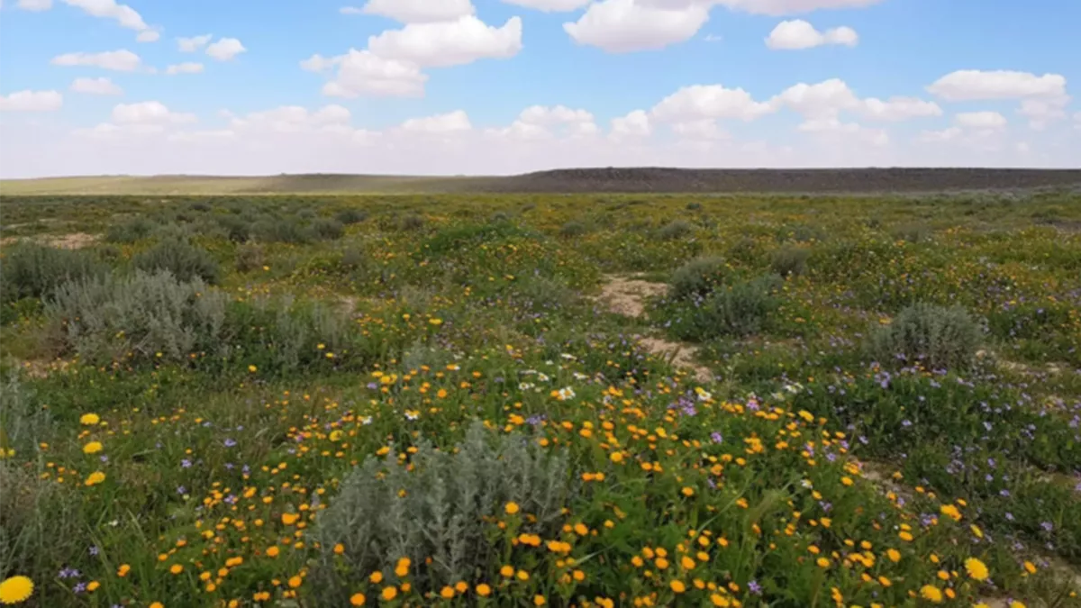 King Salman bin Abdulaziz Royal Natural Reserve has been granted accreditation as “the first major biodiversity site in the Kingdom”