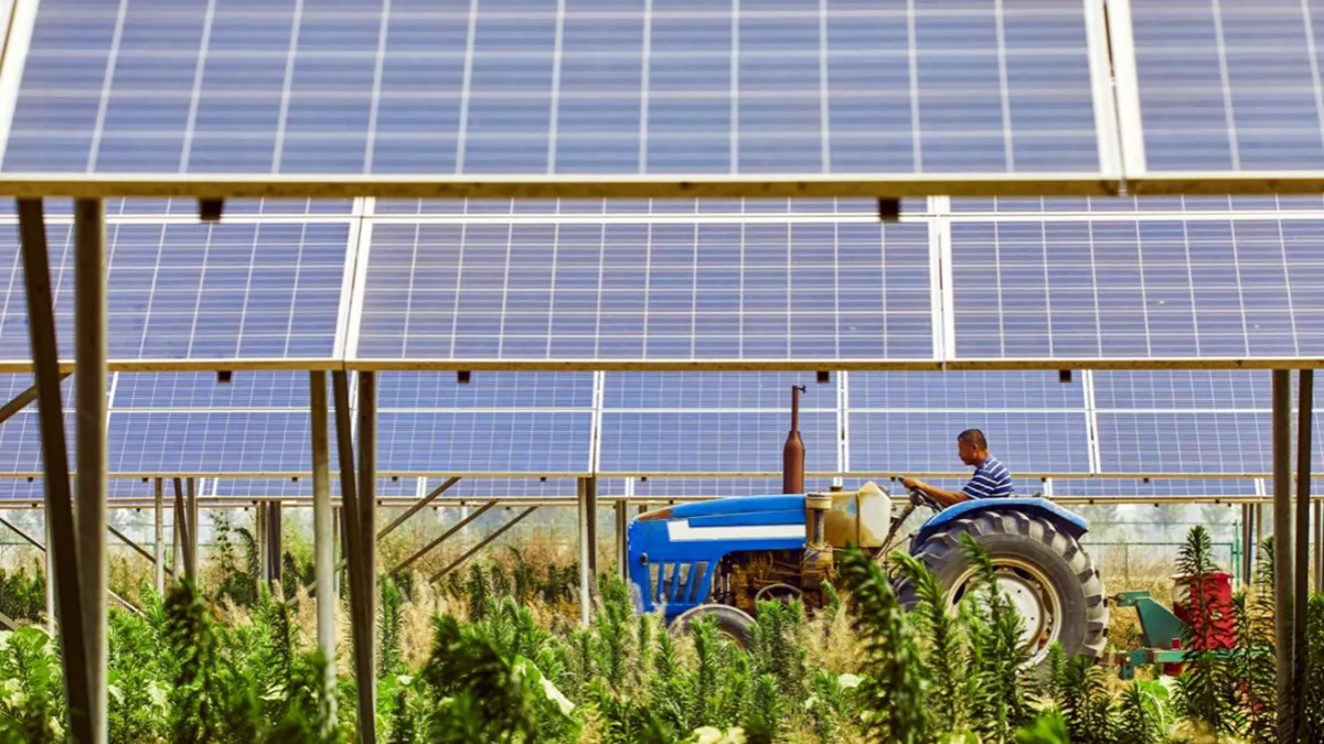 Agri-PV to transform food, water, and energy demand in the MENA region