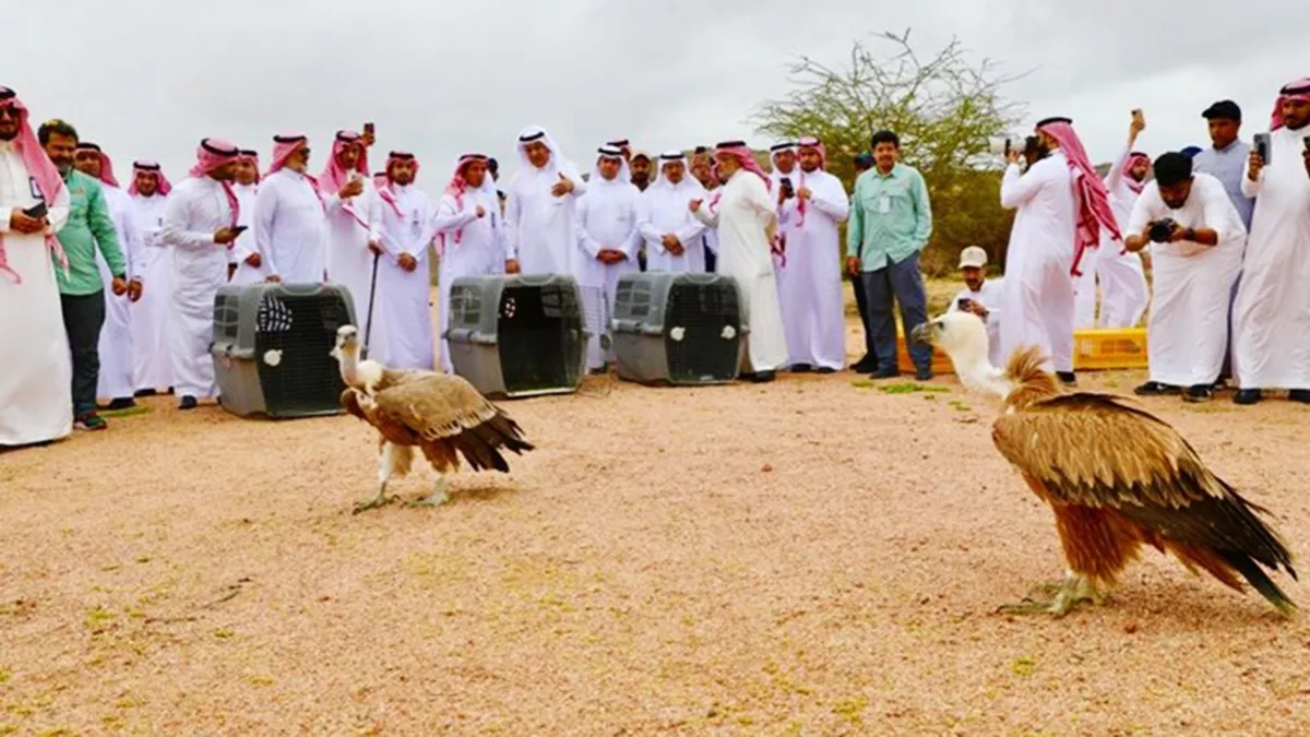 Al-Baida Park in Madinah embraces technology in a bid to track the movement of released wild animals