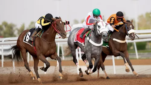 King Khalid Racecourse Championships on 28th September at King Khalid Racecourse, Ta'if