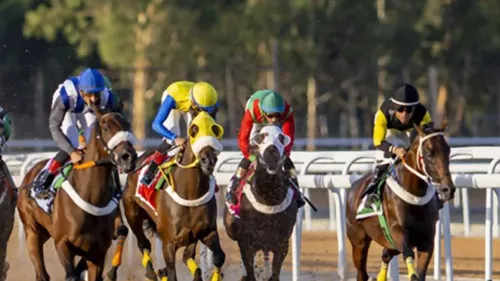 Sprint Championships on September 27 at King Khalid Racecourse, Ta'if