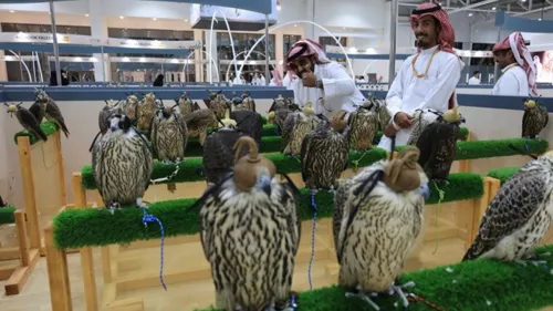 International Falcons & Hunting Exhibition from October 3 to 12