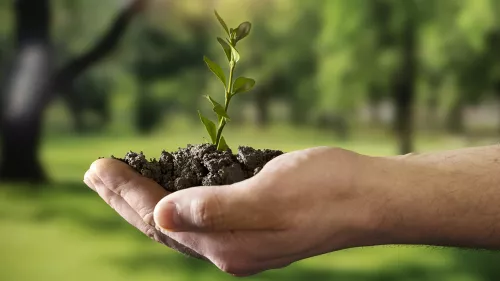 The Saudi Green Initiative celebrates World Environment Day through the launch of programs to reduce plastic waste and clean the oceans