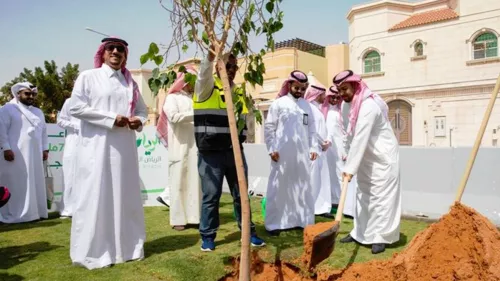 Urban greening works began in the Al-Jazeera area 